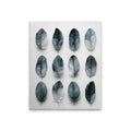 Feathers Bl