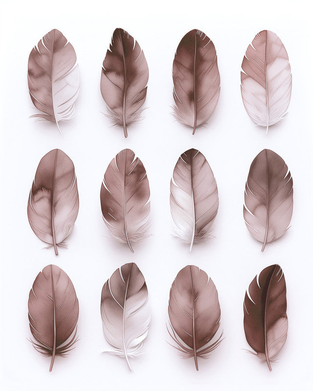 Feathers Mau