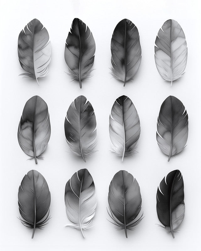 Feathers Gre