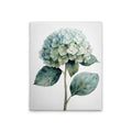 Hortensie Bl