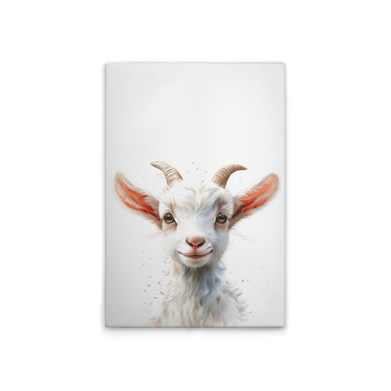 Babybillygoat