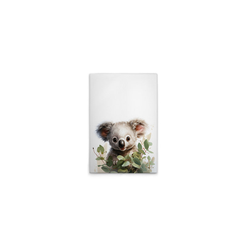 BabyKoala