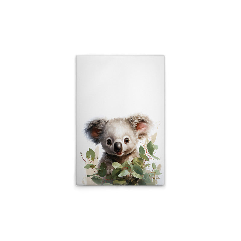 BabyKoala
