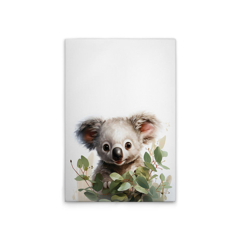 BabyKoala