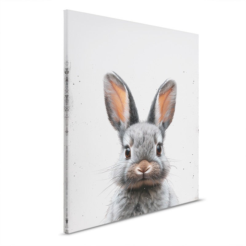 BlackBabyBunny