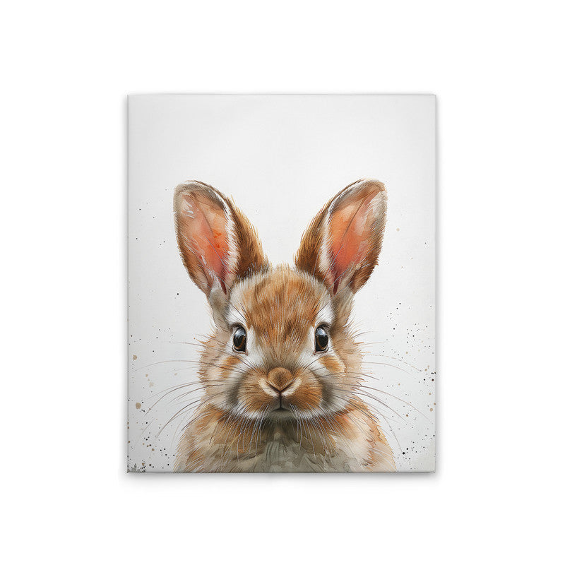 BrownBabyBunny