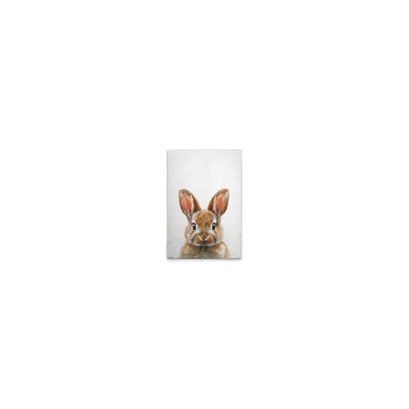 BrownBabyBunny