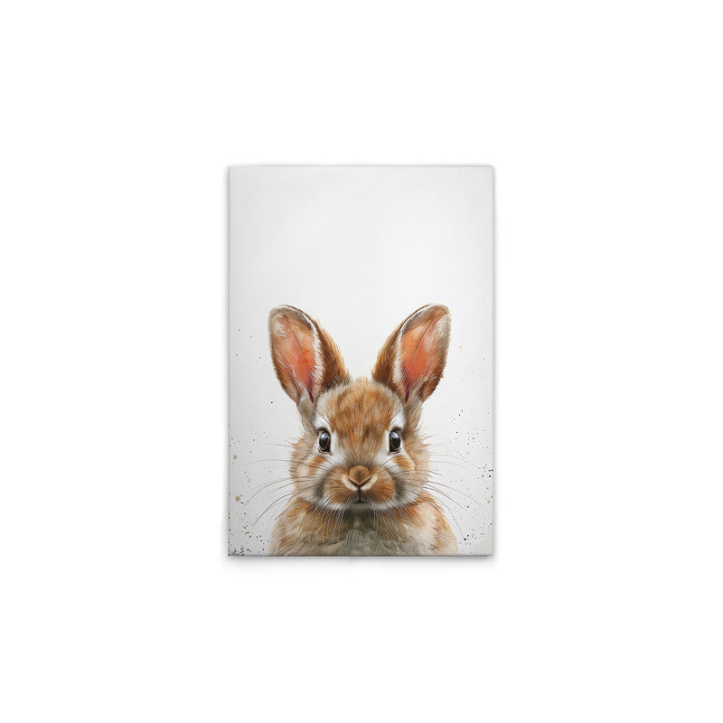 BrownBabyBunny