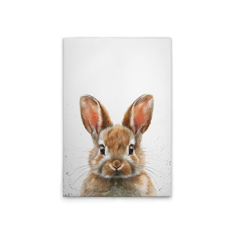 BrownBabyBunny
