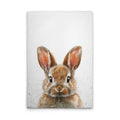 BrownBabyBunny