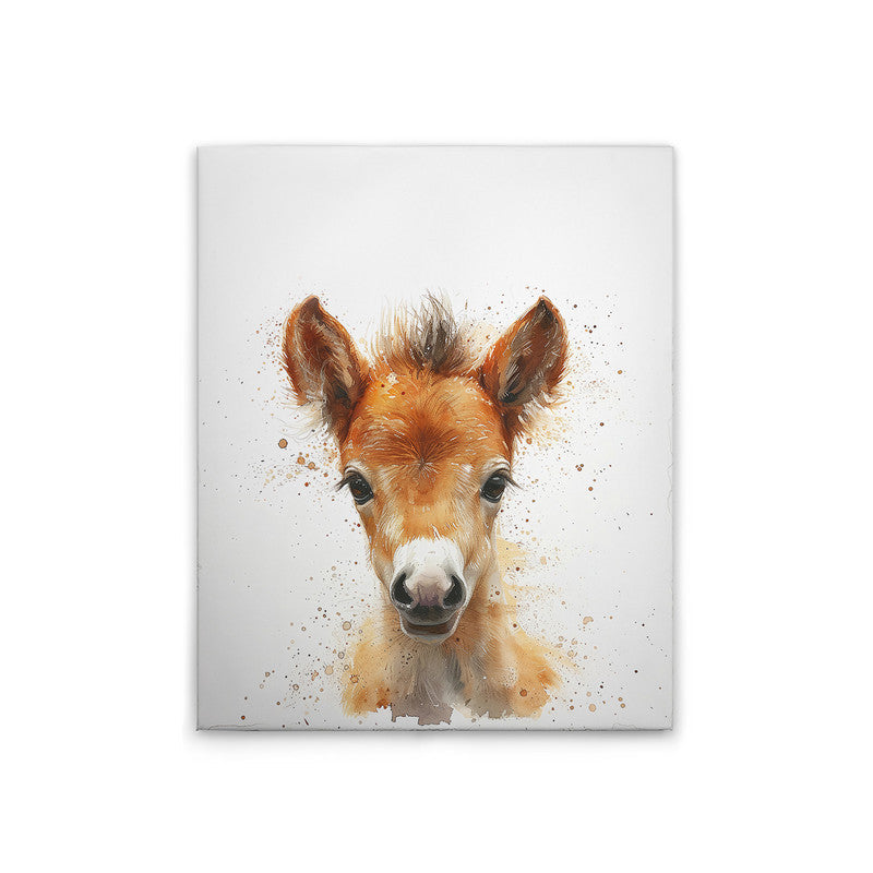 Foal