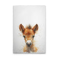 Foal