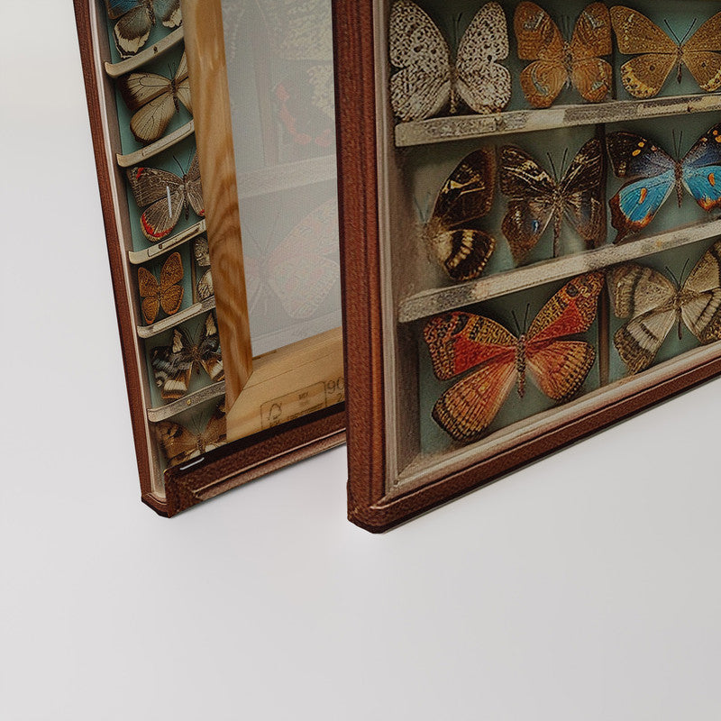 ButterflyBox