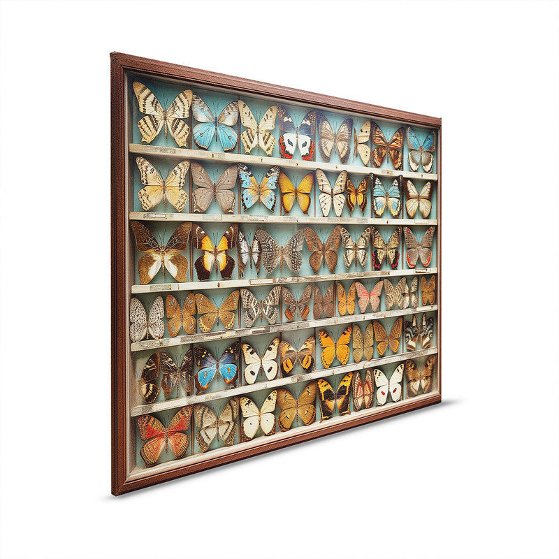 ButterflyBox