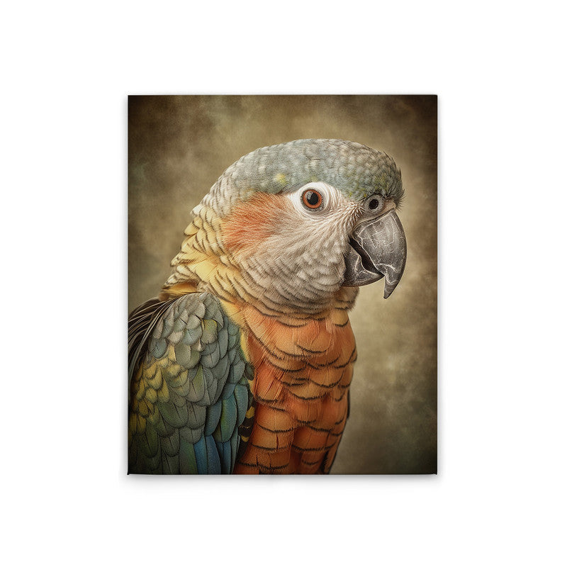 FantasyParrotO