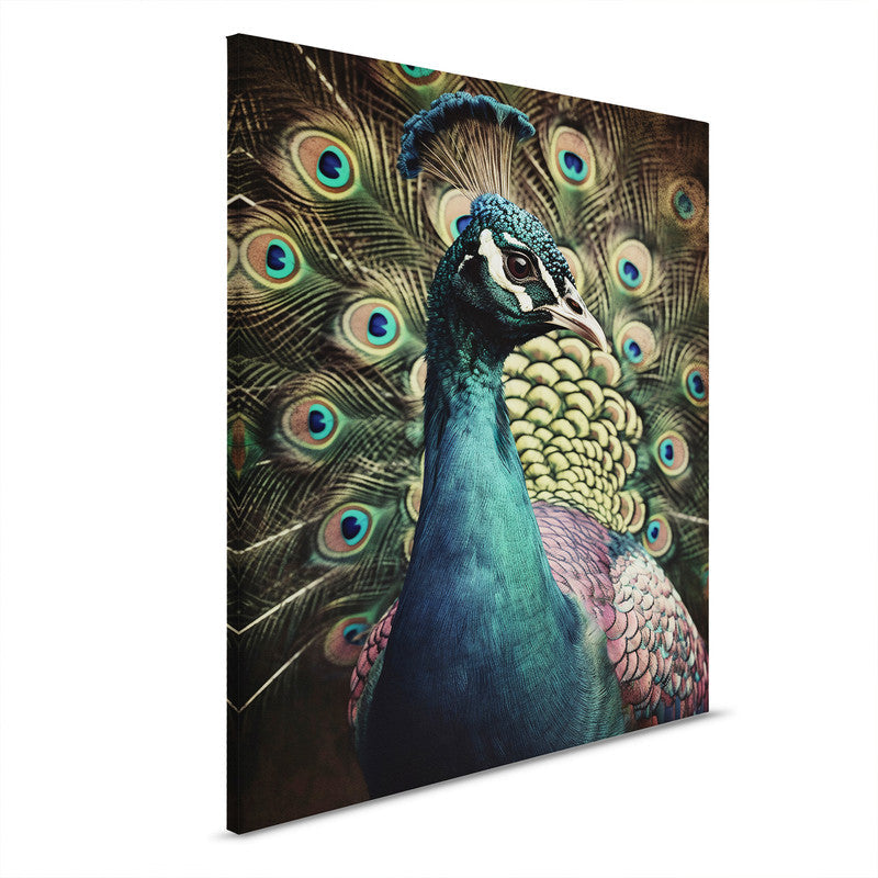 PeacockPortrai
