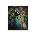 PeacockPortrai