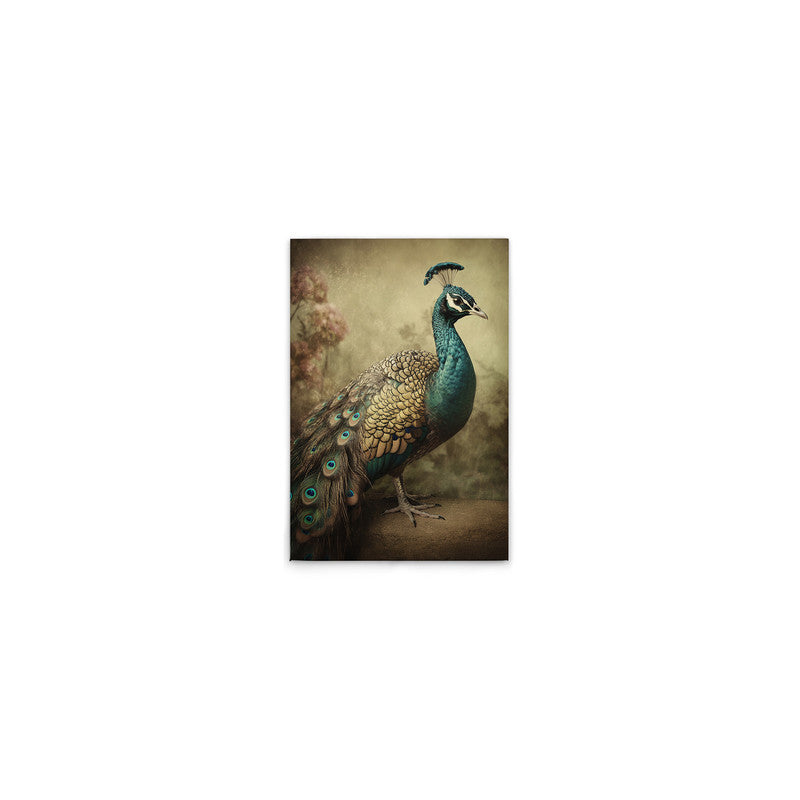 PeacockVinta