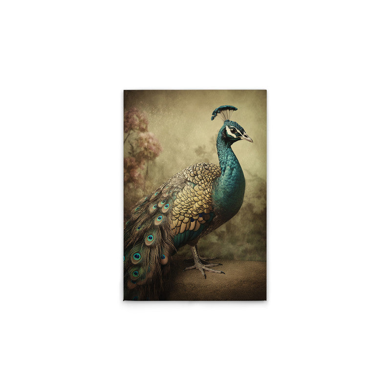 PeacockVinta
