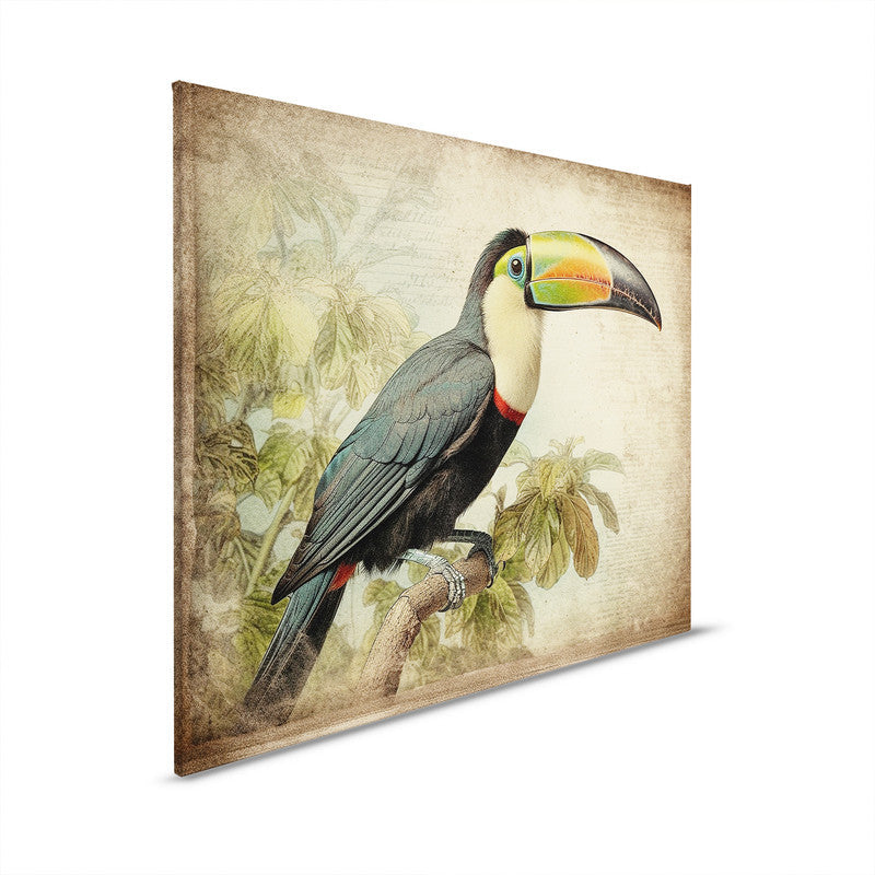 ToucanVintage