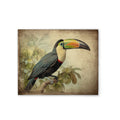 ToucanVintage