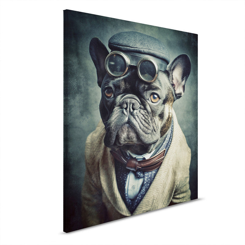 Mr.Bulldog