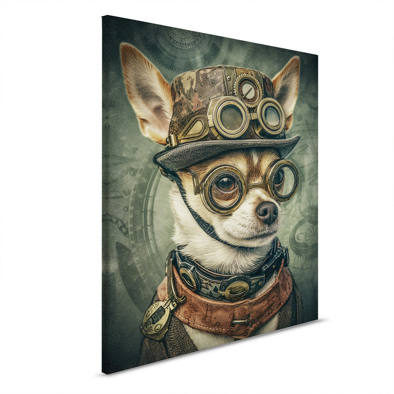 Mr.Chihuahua