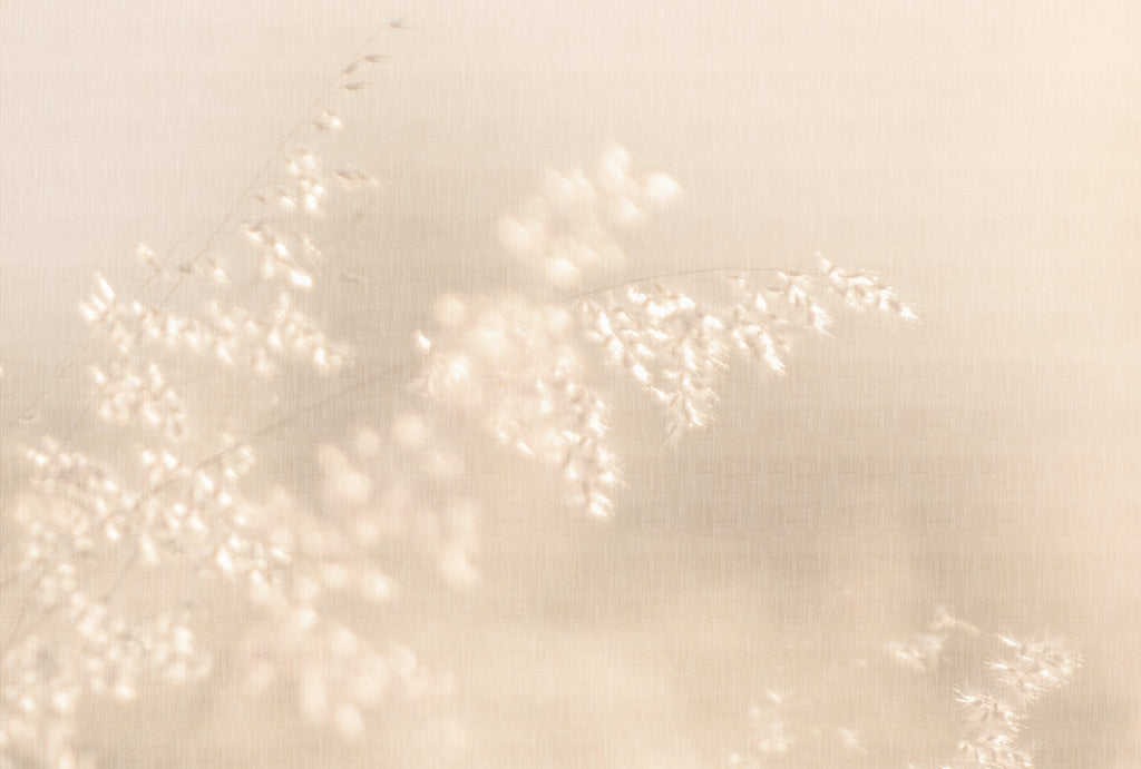 Fototapete im Digitaldruck Fototapete Beige Floral