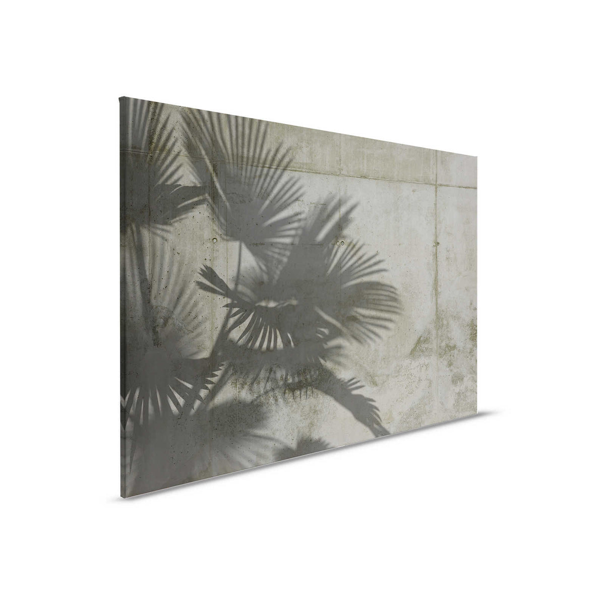 Pintura en lienzo Sombras de hojas de palmera sobre muro de hormigón