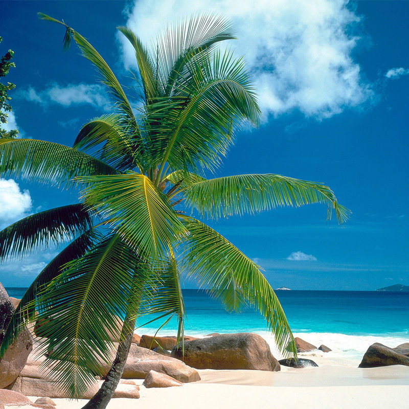 Fotomural Beach with Palm Tree Wallpaper - Premium Smooth Non-woven - XXL 2