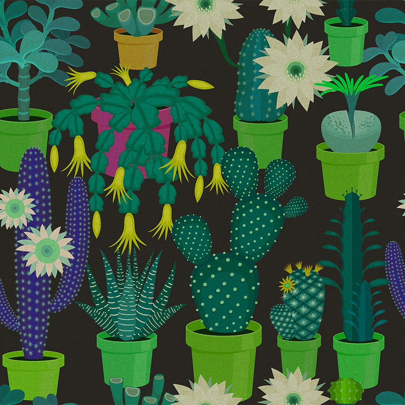 Fotomural Walls by Patel - Cactus garden 2 - Photo wallpaper with colourful cacti in comic style in cardboard structure - Green, Black