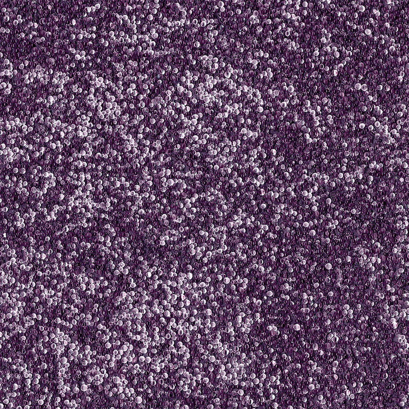 Fotomural XXL 2 - Smallpurplebal