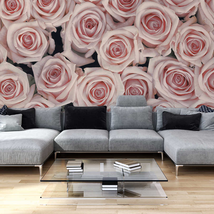 Fotomural Panel XXL 5 - Plants mural pink and white roses on premium smooth fleece