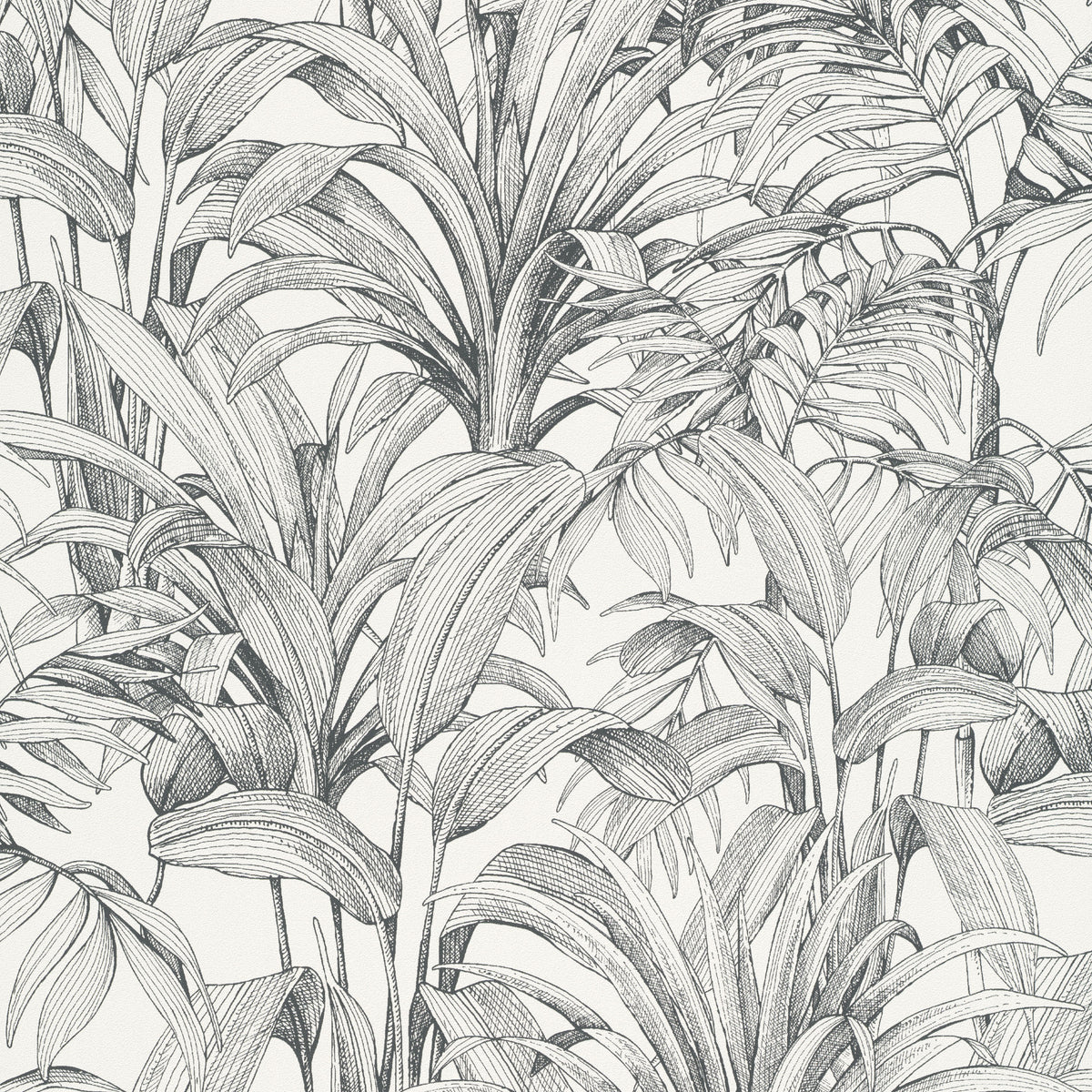 Papel Pintado Grandeco Asperia - A51401 - Imagen 1