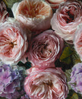 Papel Pintado Grandeco Others - A52101 - Imagen 1