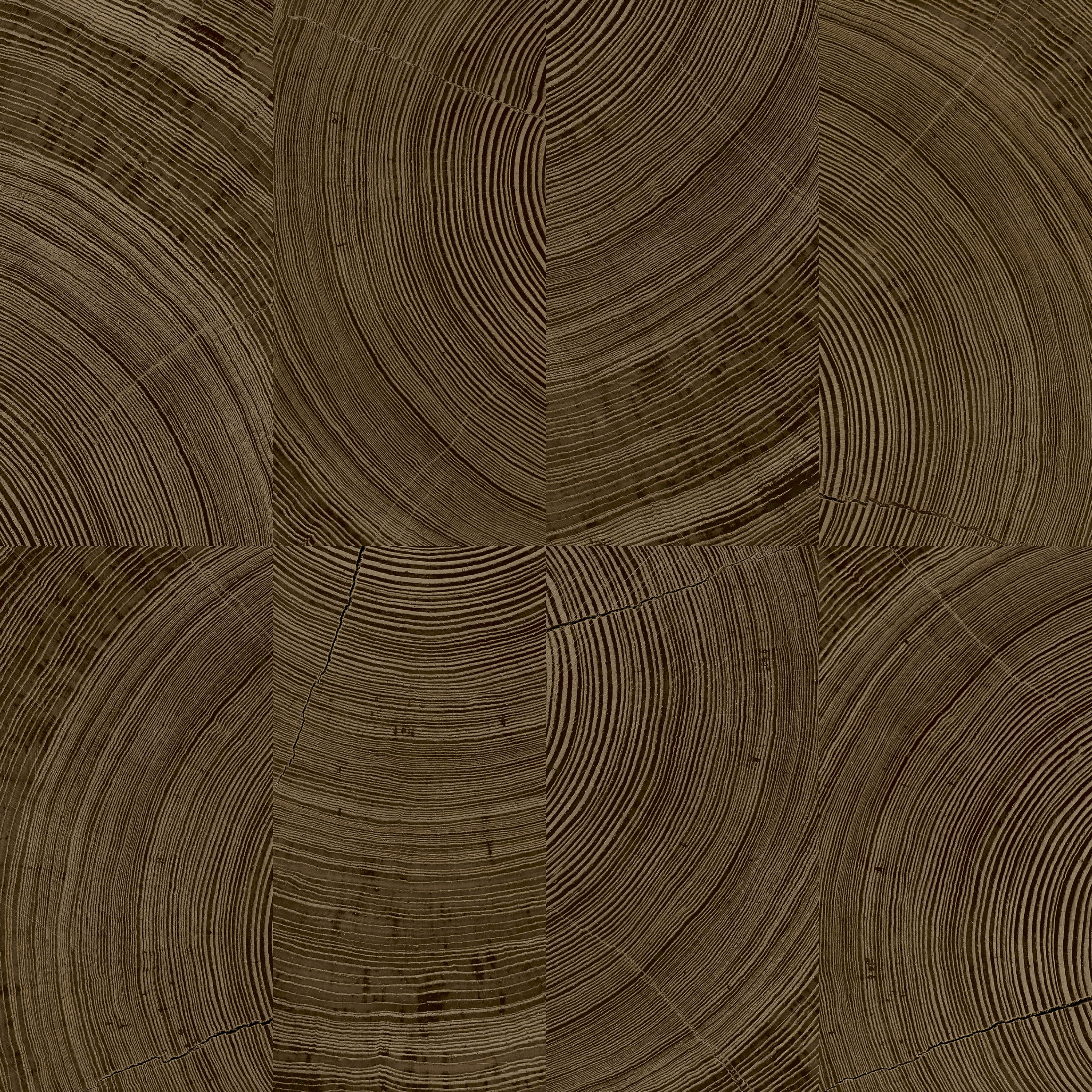 Papel Pintado Grandeco Karuna - A69103 - Imagen 1
