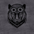 Fotomural Walls by Patel - Black photo wallpaper panther with aviator cap - grey