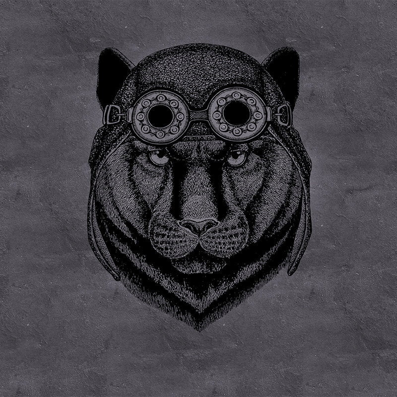 Fotomural Walls by Patel - Black photo wallpaper panther with aviator cap - grey