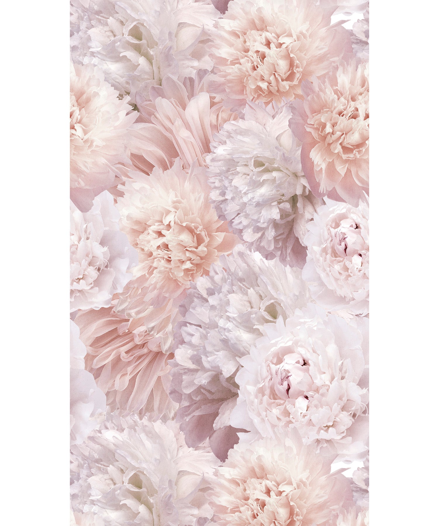 Papel Pintado Grandeco OROM 2 - A77501 - Imagen 1