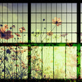 Fotomural Walls by Patel - Meadow 2 - Muntin Window Wallpaper with Flower Meadow - Green, Pink