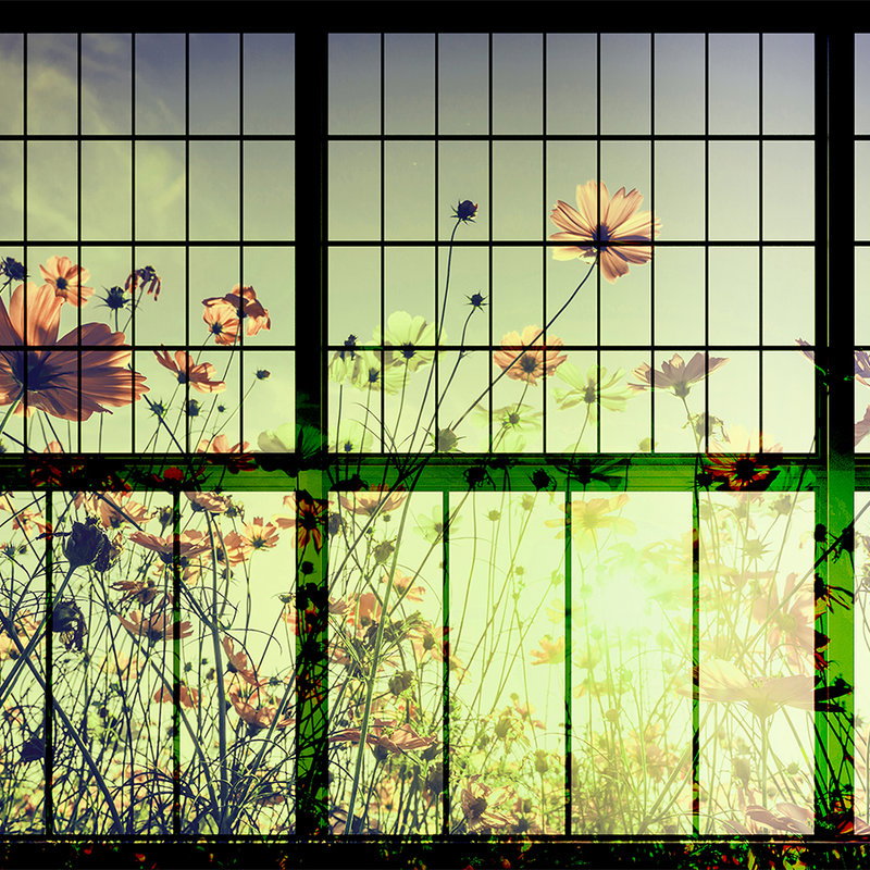 Fotomural Walls by Patel - Meadow 2 - Muntin Window Wallpaper with Flower Meadow - Green, Pink