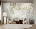 Fotomural Walls by Patel - patina1 - Minimalist concrete wall mural - grey, beige