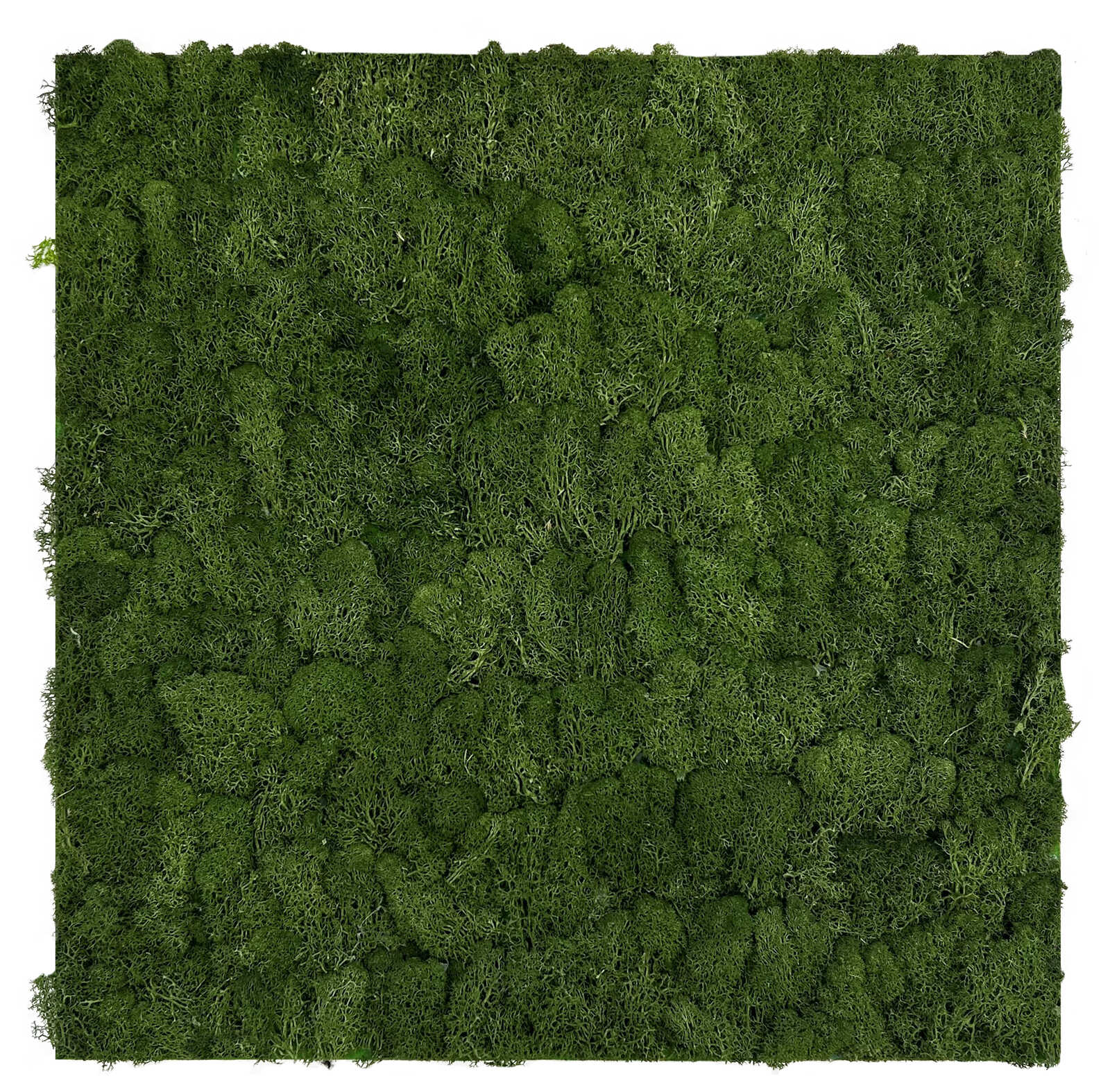 Panel Modular Wall - Rich Green 52 x 52 x 4 cm (13667-6) - Imagen 1