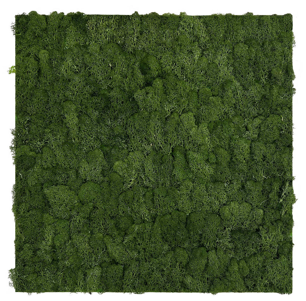Panel Flora de Diseno Feral Green Mixed Flora - Modular Wall - Foto 11