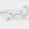 Fotomural Walls by Patel - Design mural brick wall & whale motif