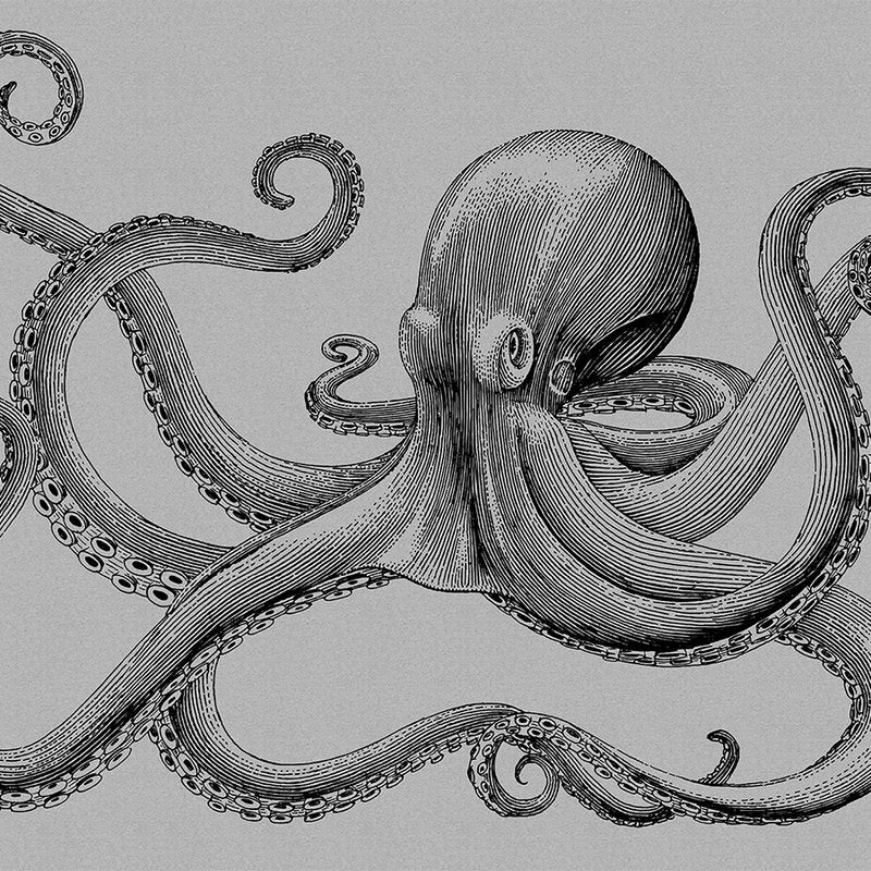 Fotomural Walls by Patel - Jules 2 - Modern Octopus Cardboard Structure Character Style Wallpaper - Grey, Black