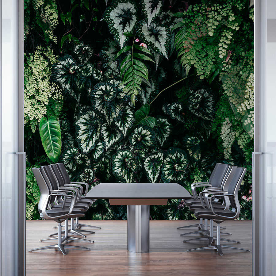 Fotomural Walls by Patel - Deep Green 2 - wall mural leafy thicket, ferns & hanging plants