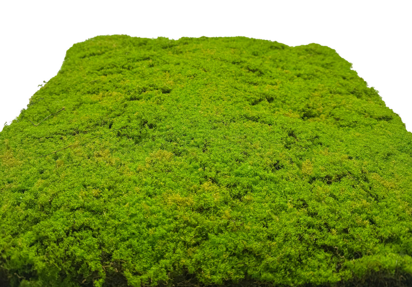 Panel Vegetal Light Green Coconut - Modular Wall - Foto 4