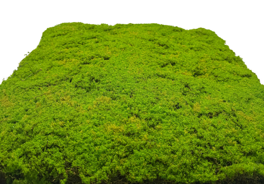 Panel Modular Wall - Light Green Coconut 52 x 52 x 2 cm (13668-1) - Imagen 4