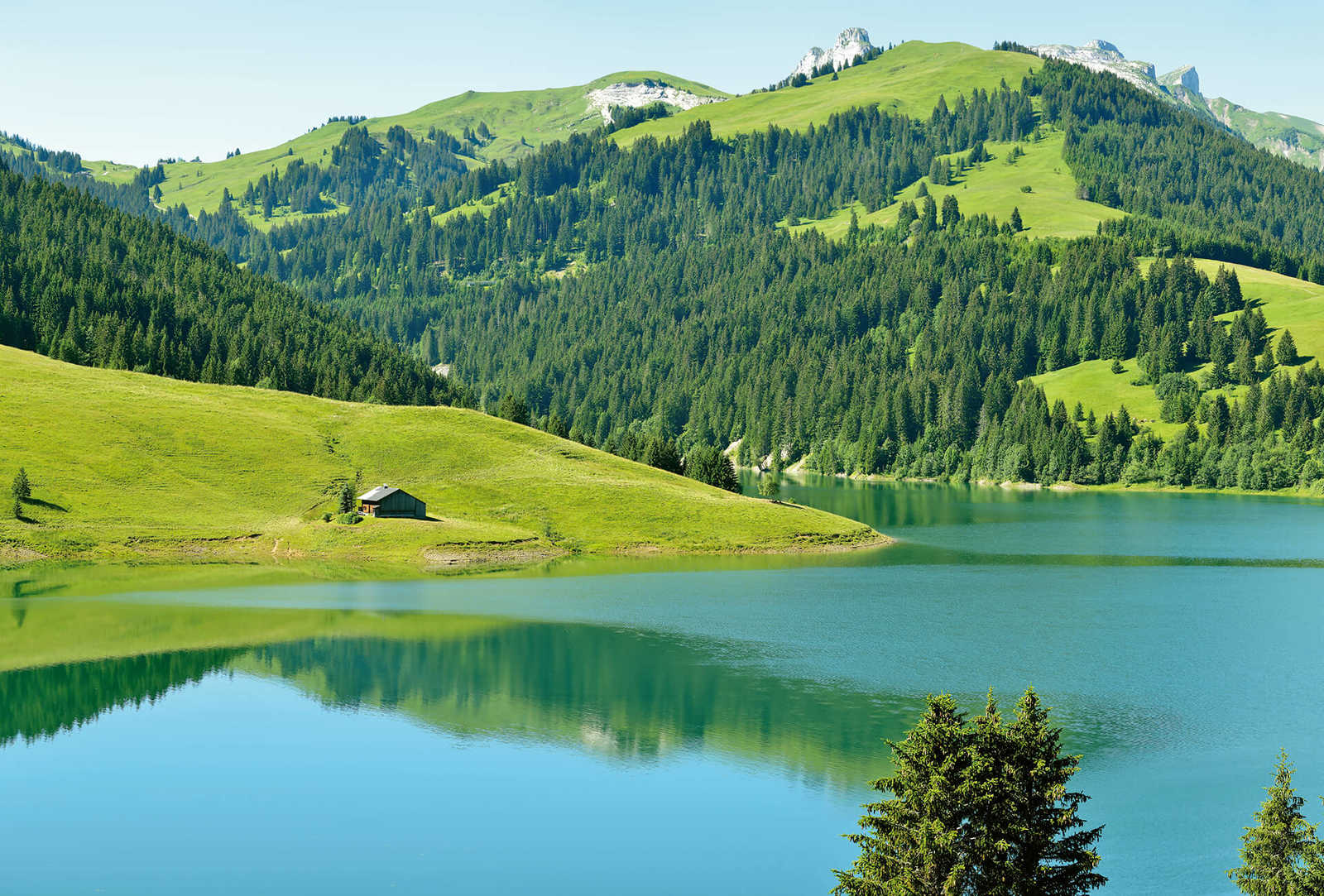 Fotomural Photo wallpaper mountain with lake in Switzerland - green, blue, grey - DD Motive 2